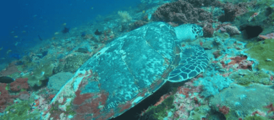 Untitled design (11)