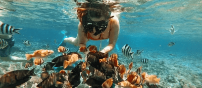 Untitled design (24)